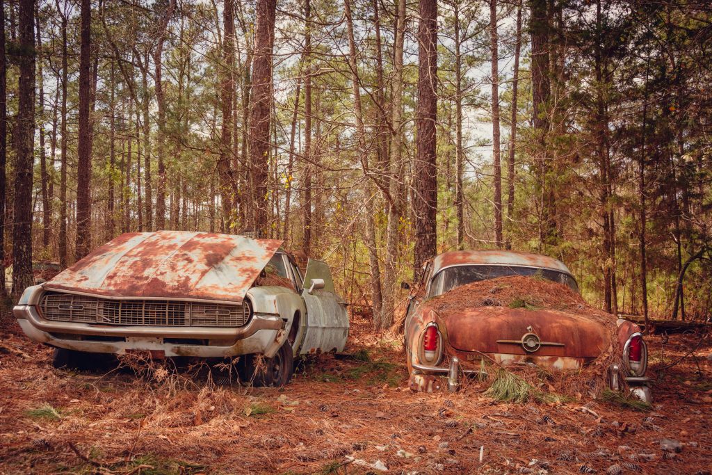 pexels photo 15670392 15670392 Two vintage cars rusting away amidst a serene forest background.